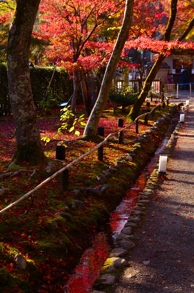 紅葉トンネルの赤い川