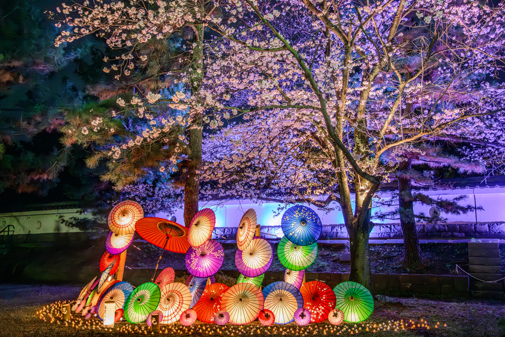 希望の光