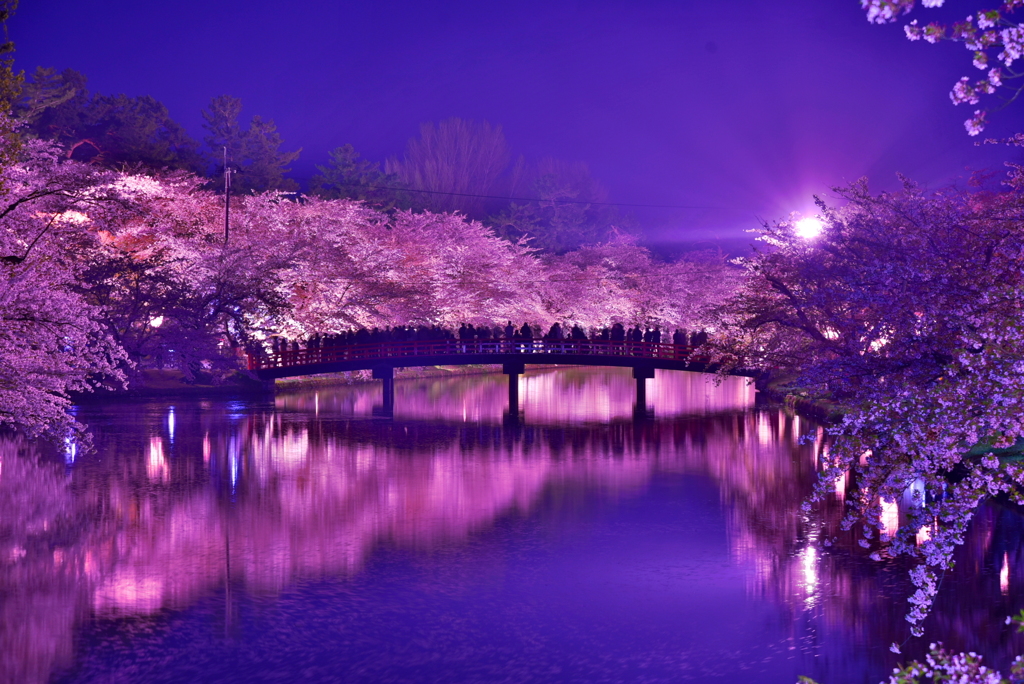 弘前公園 春陽橋