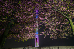 隅田公園にて