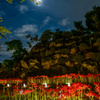 朧月夜の彼岸花