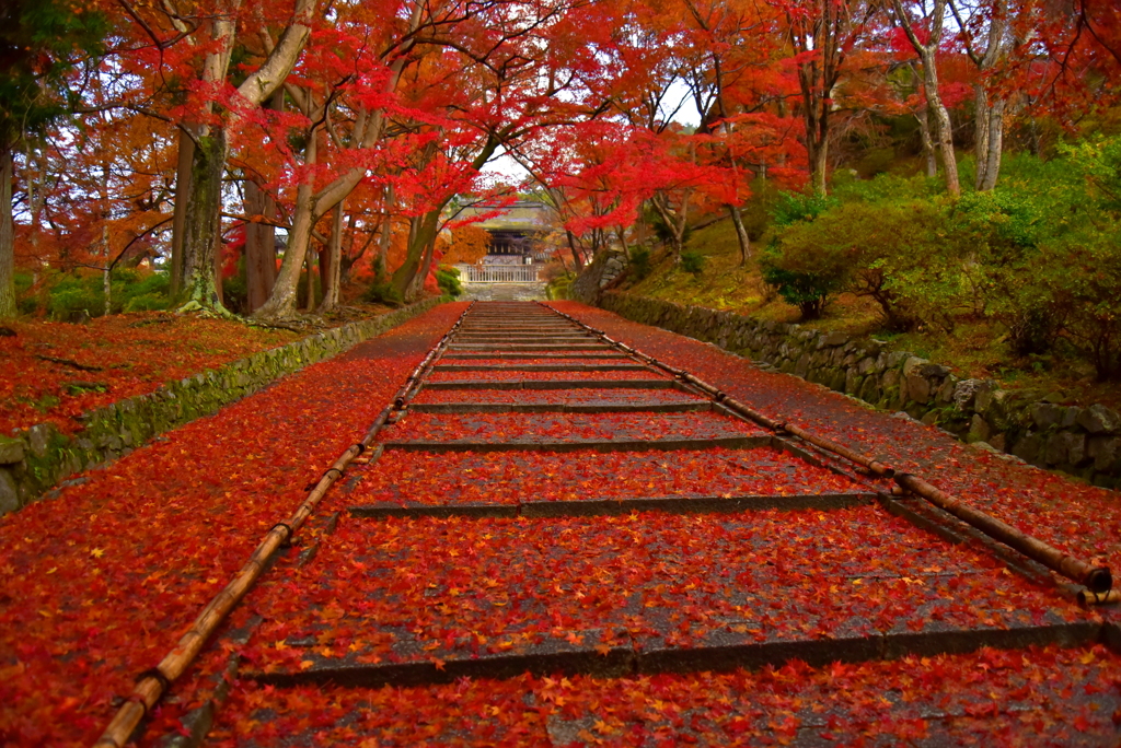 毘沙門堂の散紅葉