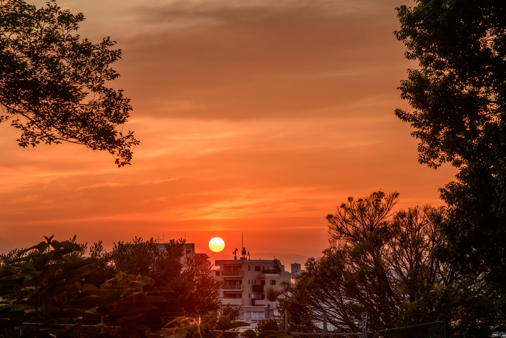 池上本門寺の夕日