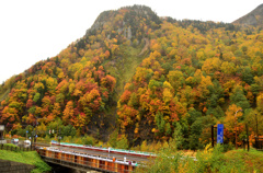 層雲峡の紅葉