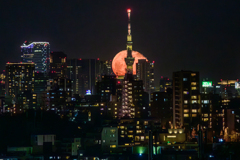 赤い何かが昇ってくる