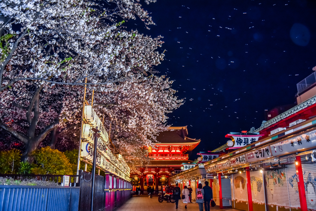 浅草寺桜吹雪