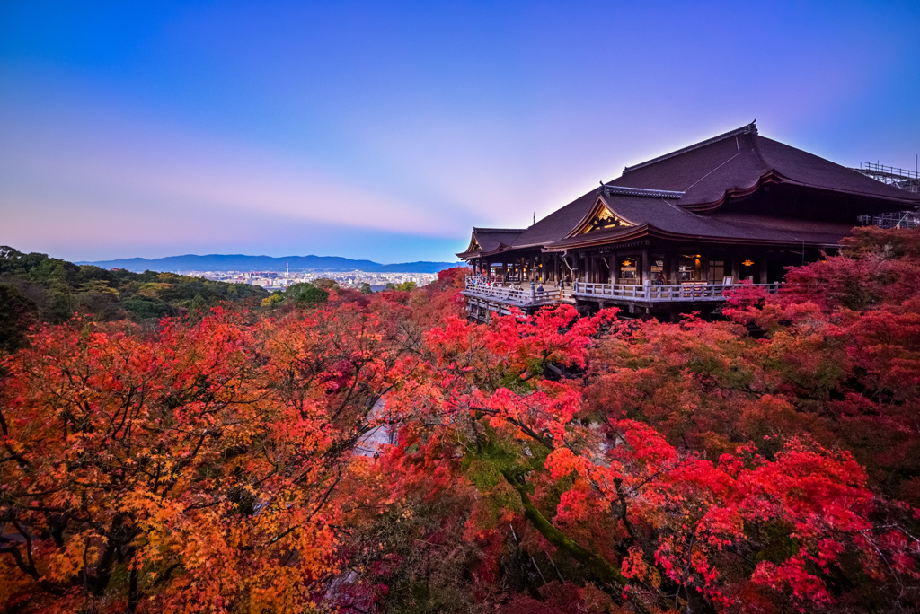 京都の夜明け