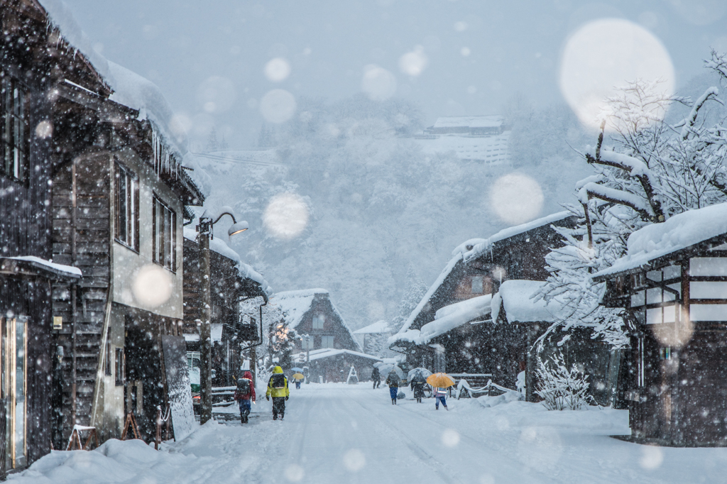 白川郷の子供達(速報版)