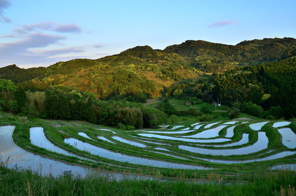 大山千枚田