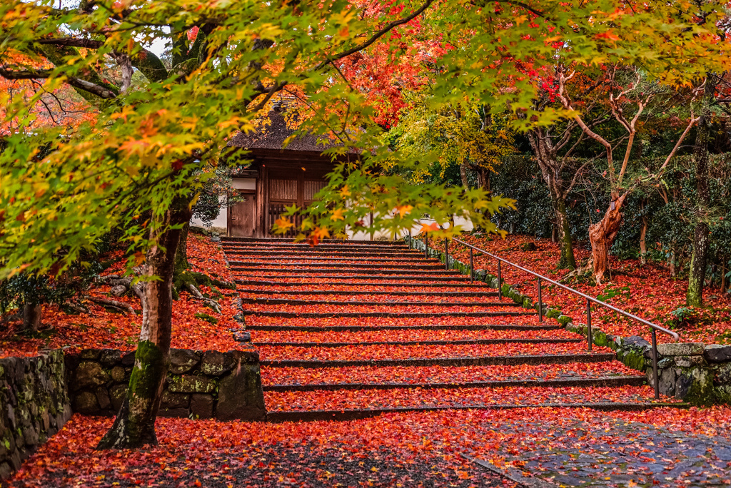 雨上がりの安楽寺