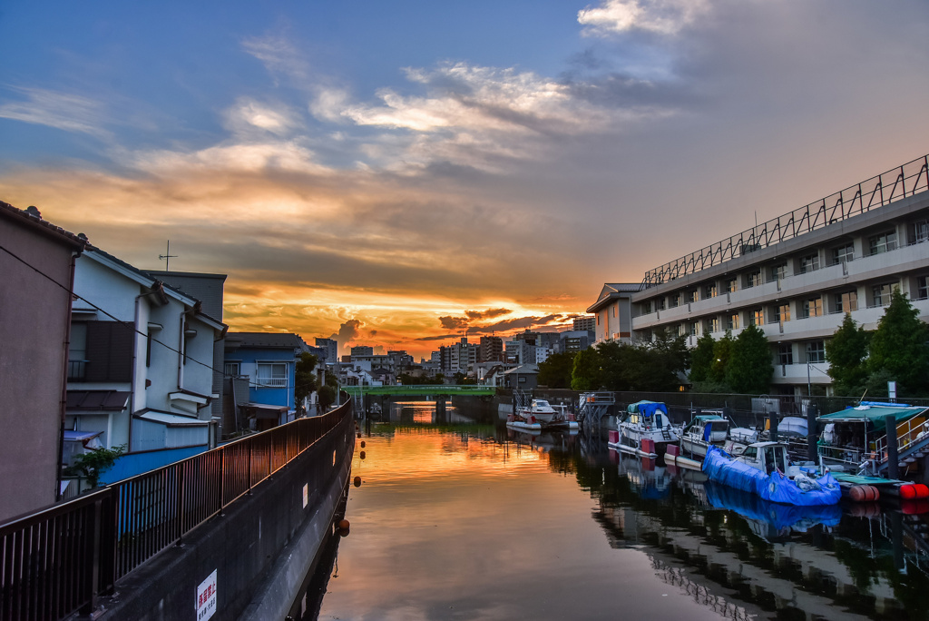 吞川夕景