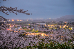 角館の桜夜景