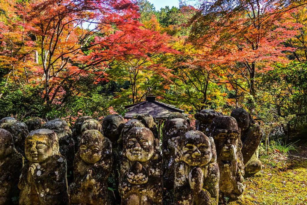 愛宕念仏寺の紅葉(自宅編集版)