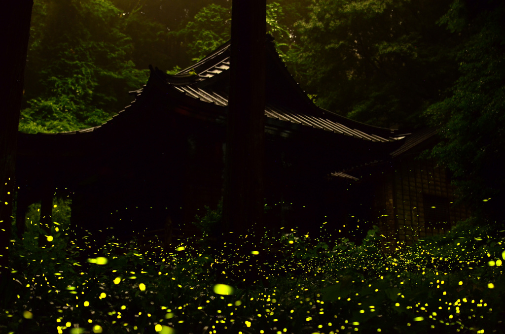 二岡神社2