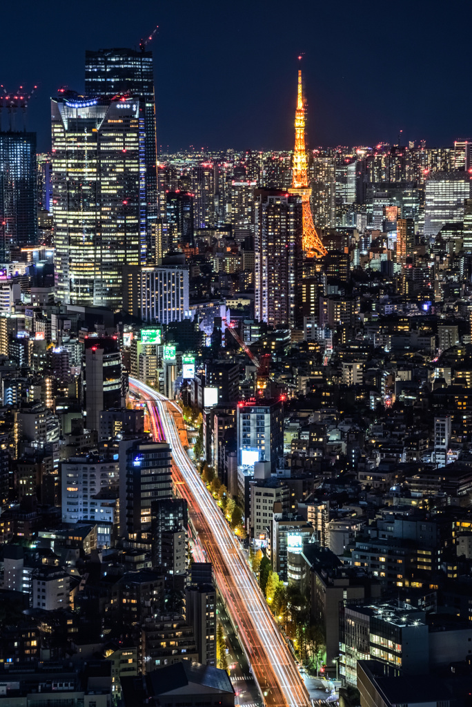 渋谷スカイの夜景