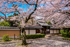 六年前の妙蓮寺