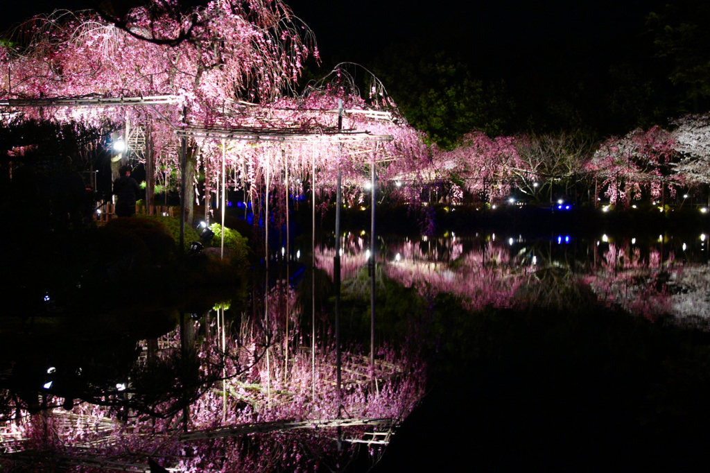 平安神宮の夜