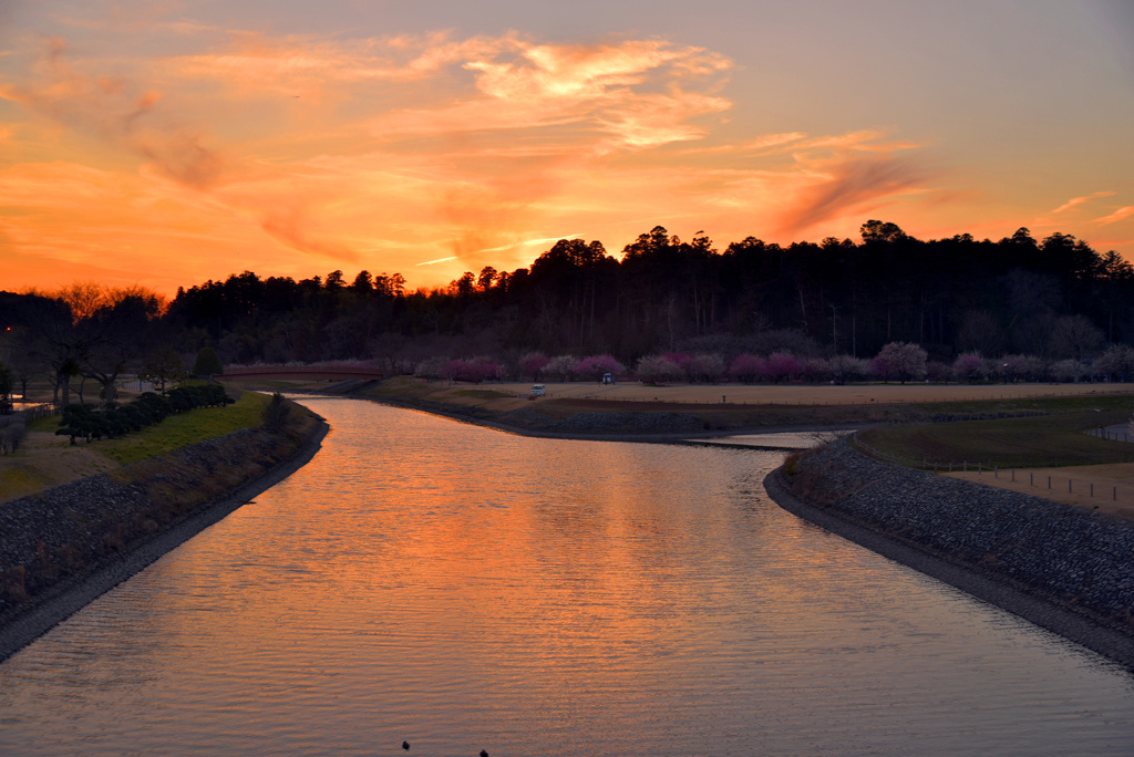 偕楽園夕景