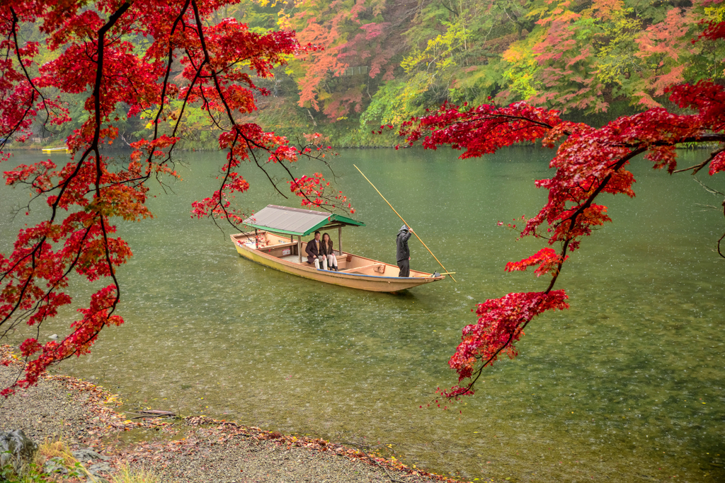 雨の日の屋形船