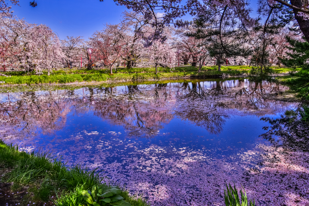 三年前の弘前公園2