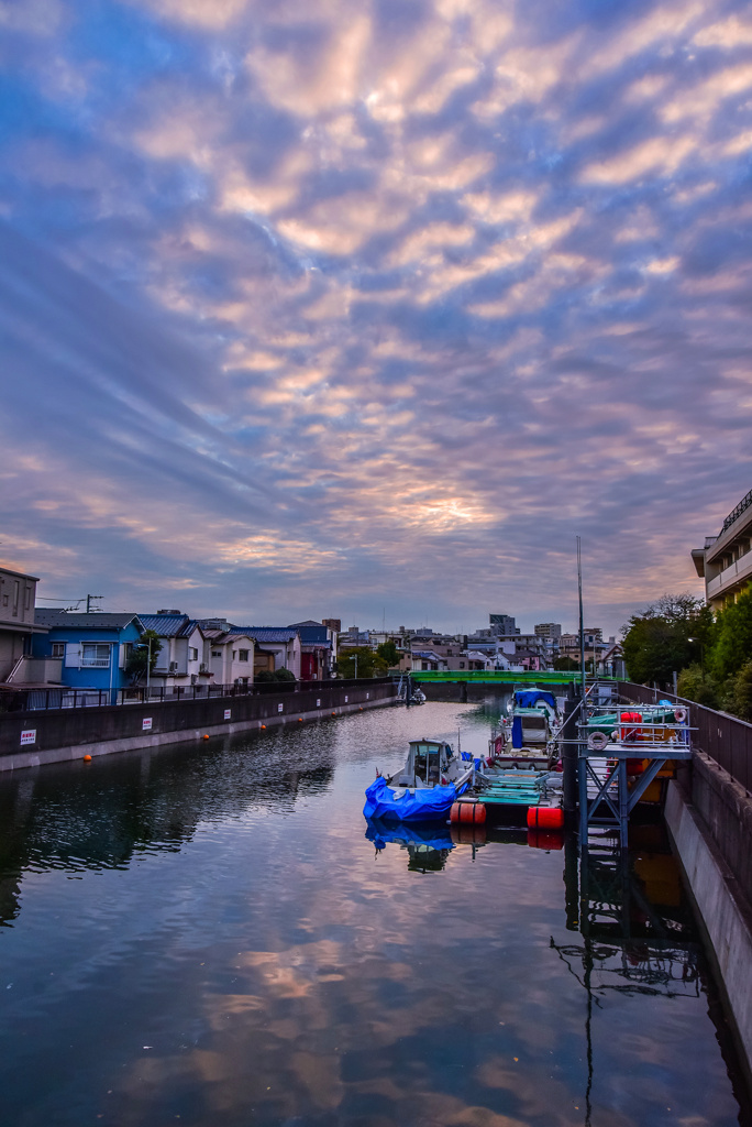 呑川の秋2
