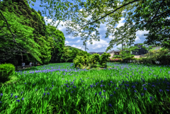 九年前の京都 太田神社