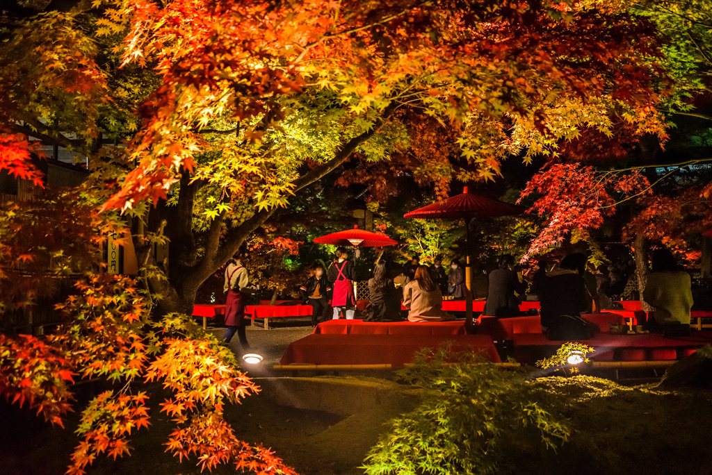 夜の永観堂