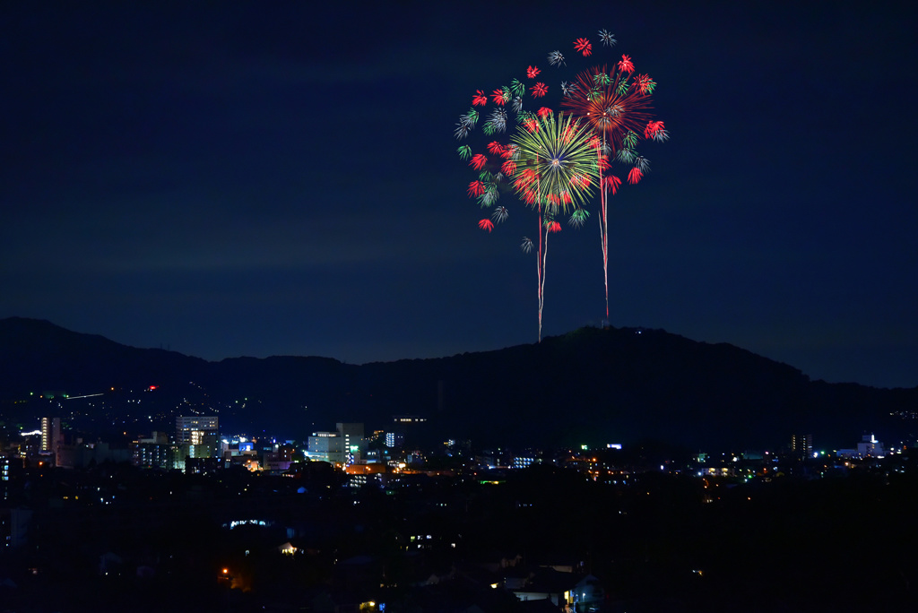 秦野たばこ祭り