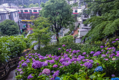 雨の日の多摩川台公園2