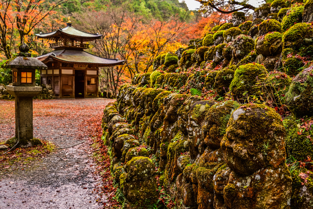 今年の愛宕念仏寺