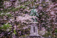 桜嵐