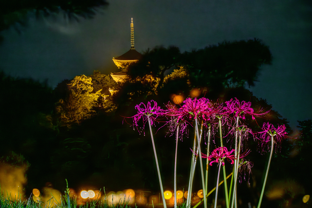 三渓園の彼岸花