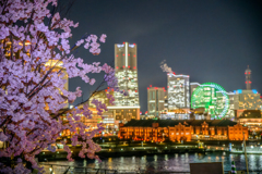 大さん橋に春が来た