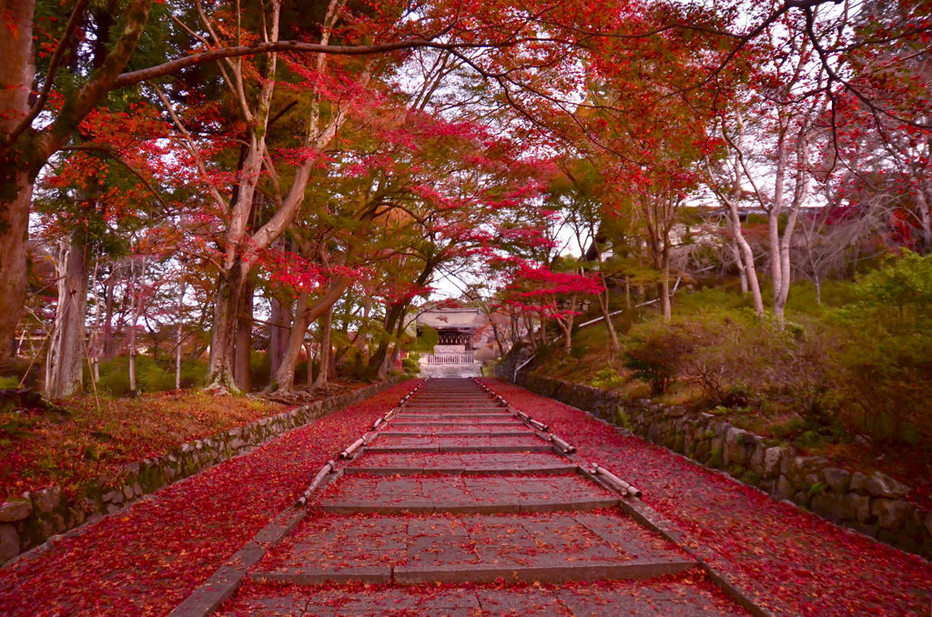 毘沙門堂 散紅葉