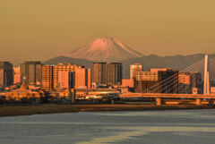 多摩川からの富士山