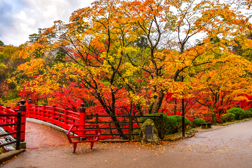 思い出の紅葉: 二年前の弥彦公園