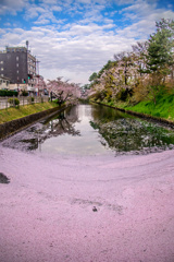 まるで三色旗