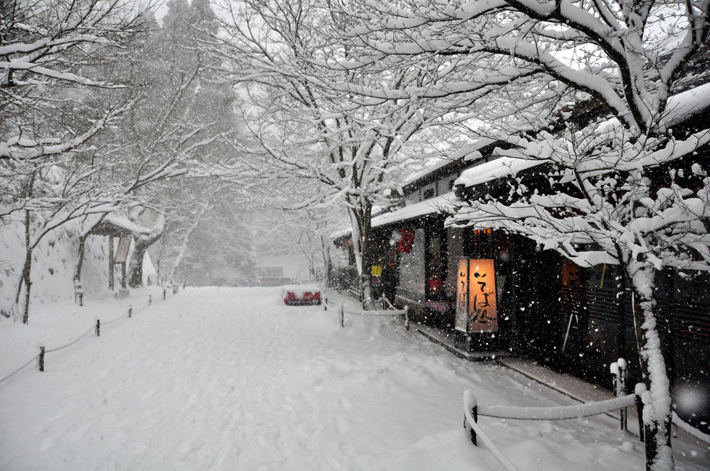 雪の大原参道