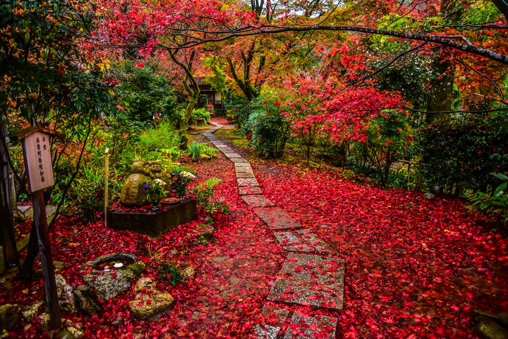 思い出の紅葉: 四年前の直指庵