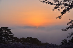 松島、霧の夜明け