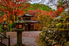 思い出の紅葉: 二年前の愛宕念仏寺