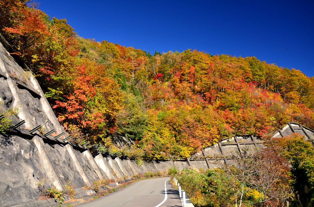 紅葉の壁