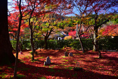 化野念仏寺の散紅葉