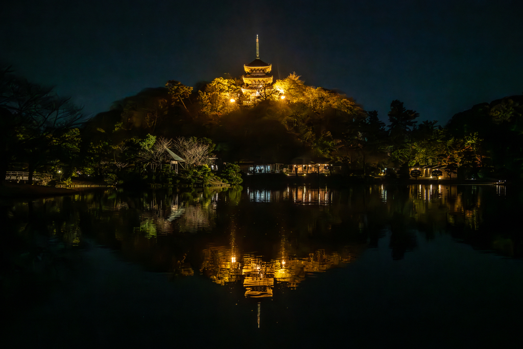 夜の三渓園