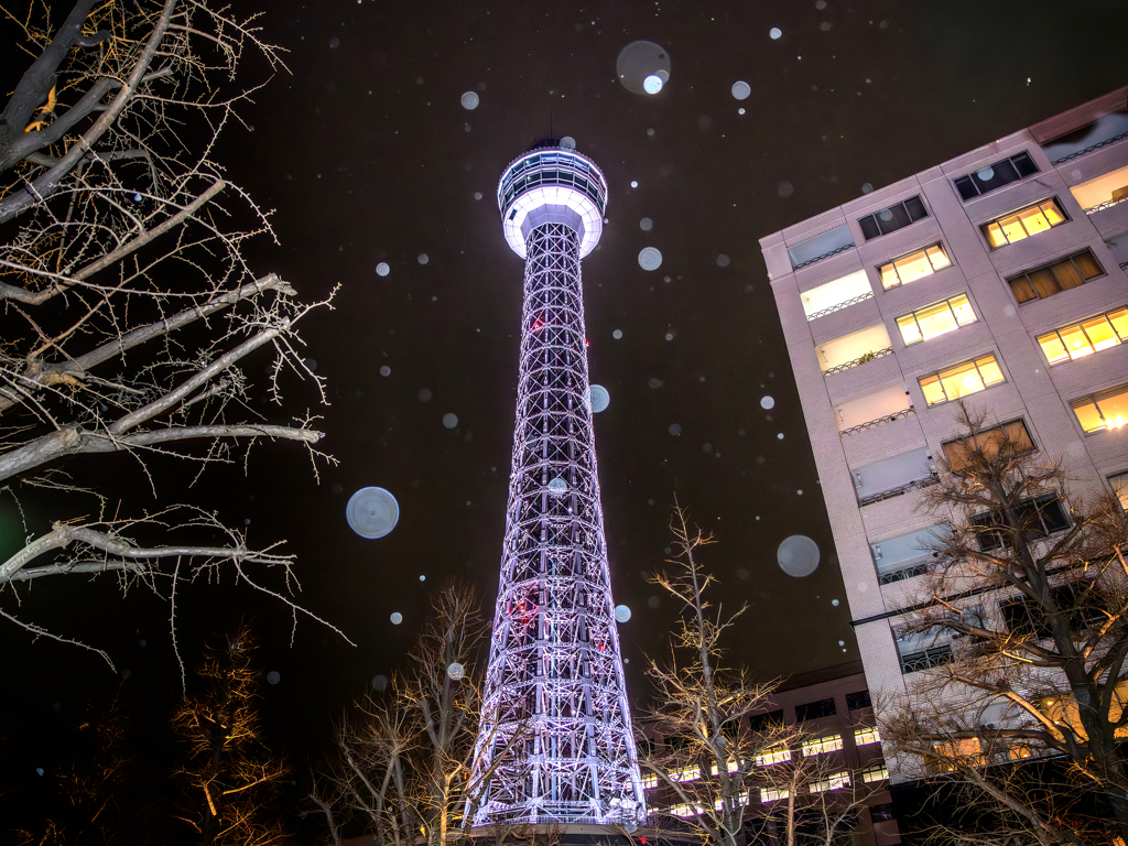 ほんの一瞬の雪