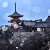 清水寺に雪が舞う(再編集版)