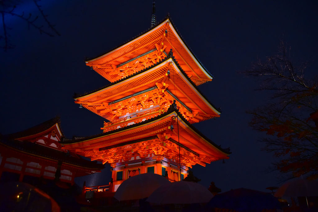 夜の清水寺