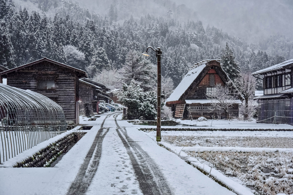 一夜明けたら雪景色2