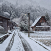 一夜明けたら雪景色2