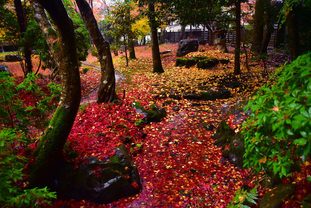 雨の日の栖賢寺